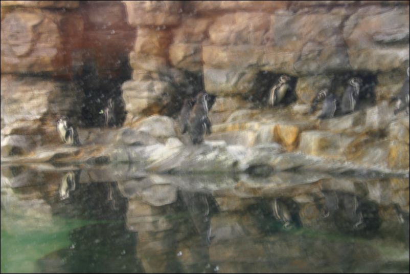 campamento.moragete.2008.183