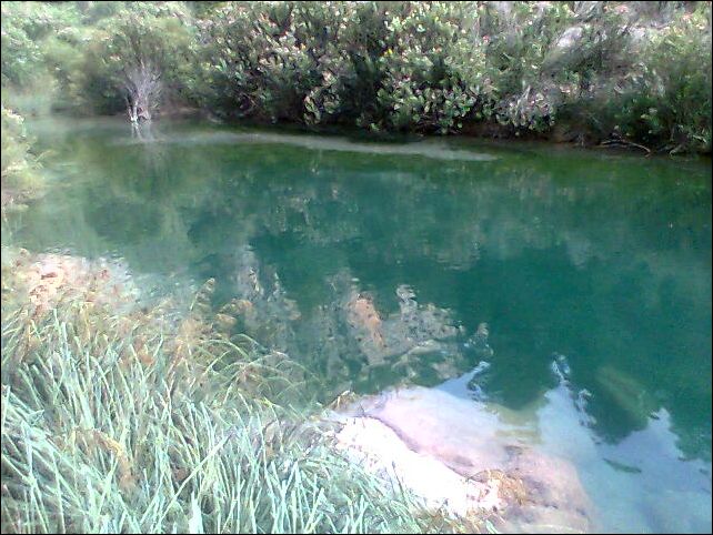 Imagen015