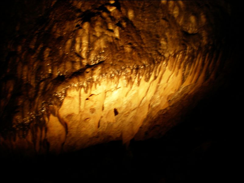 P7240122